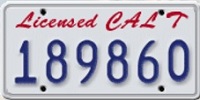 License Plate